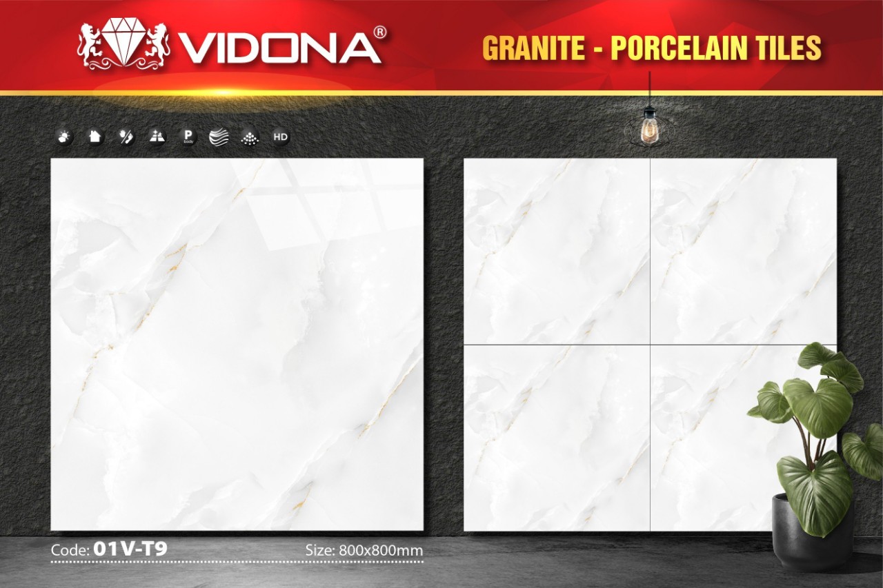 Gạch lát VIDONA 01V-T9