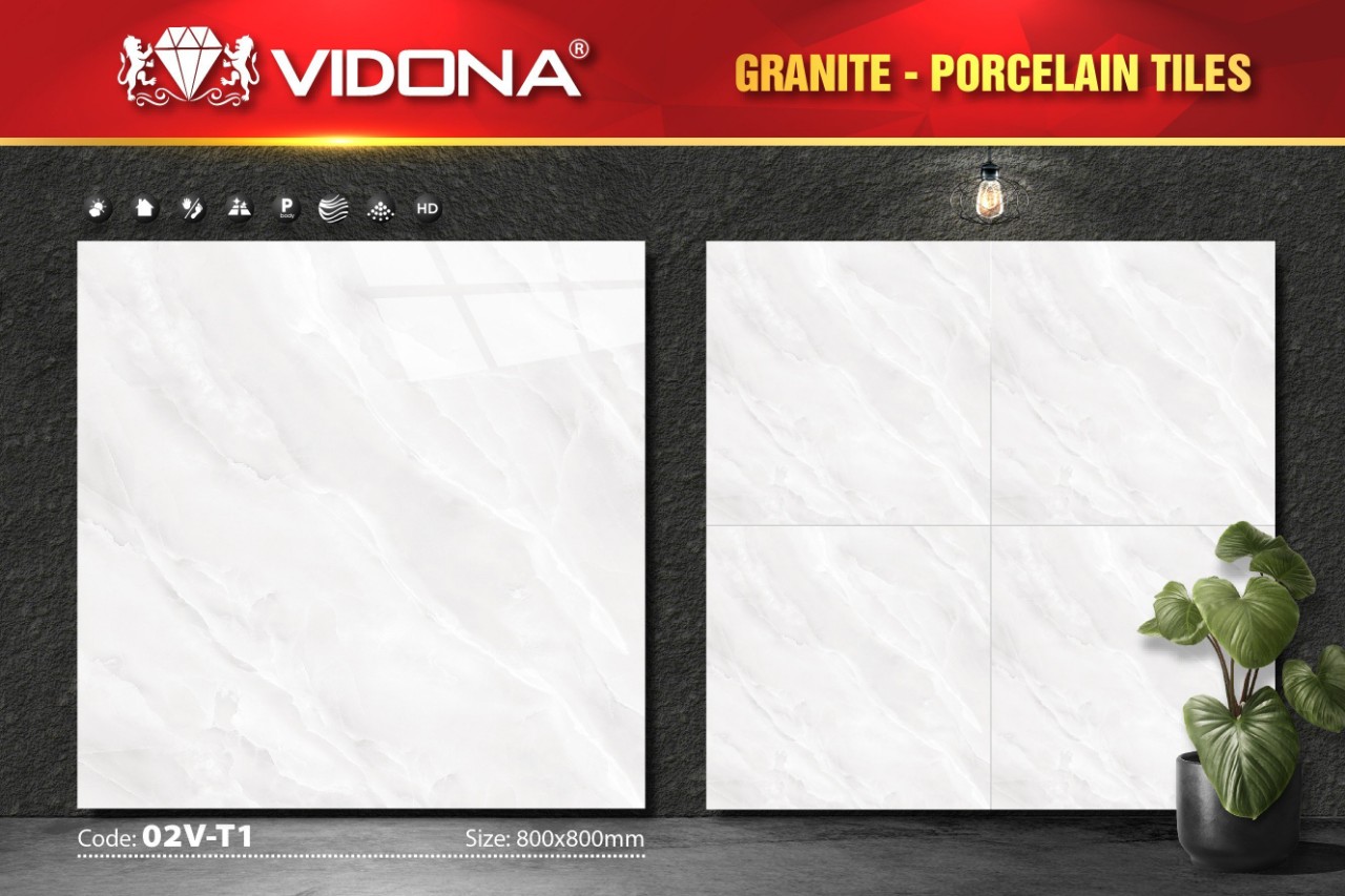 Gạch lát VIDONA 02V-T1