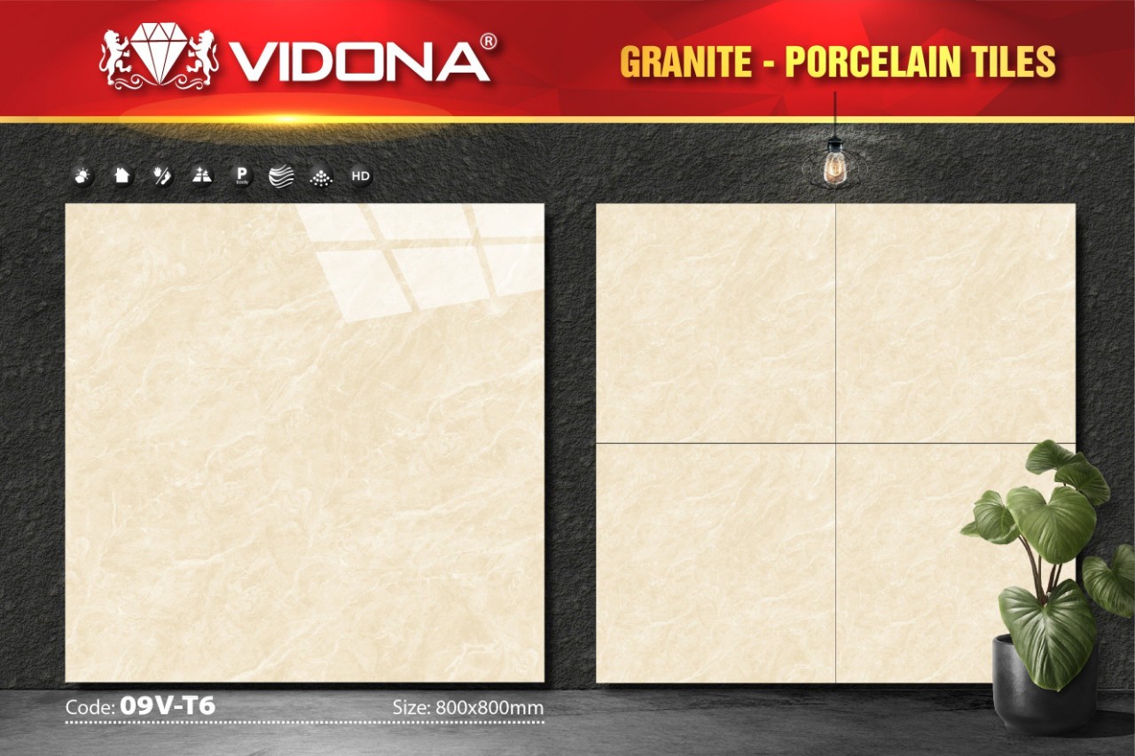 Gạch lát VIDONA 09V-T6