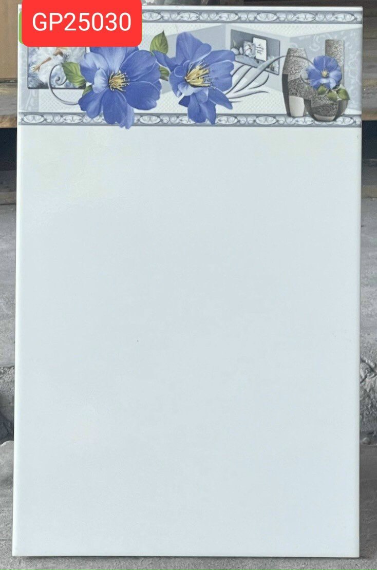 Gạch ốp Bách Thành 25030