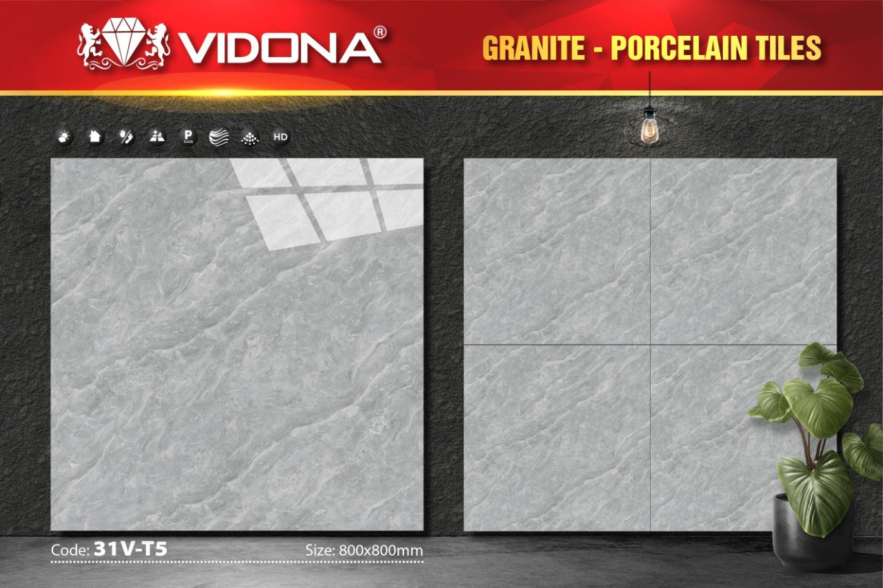 Gạch lát VIDONA 31V-T5