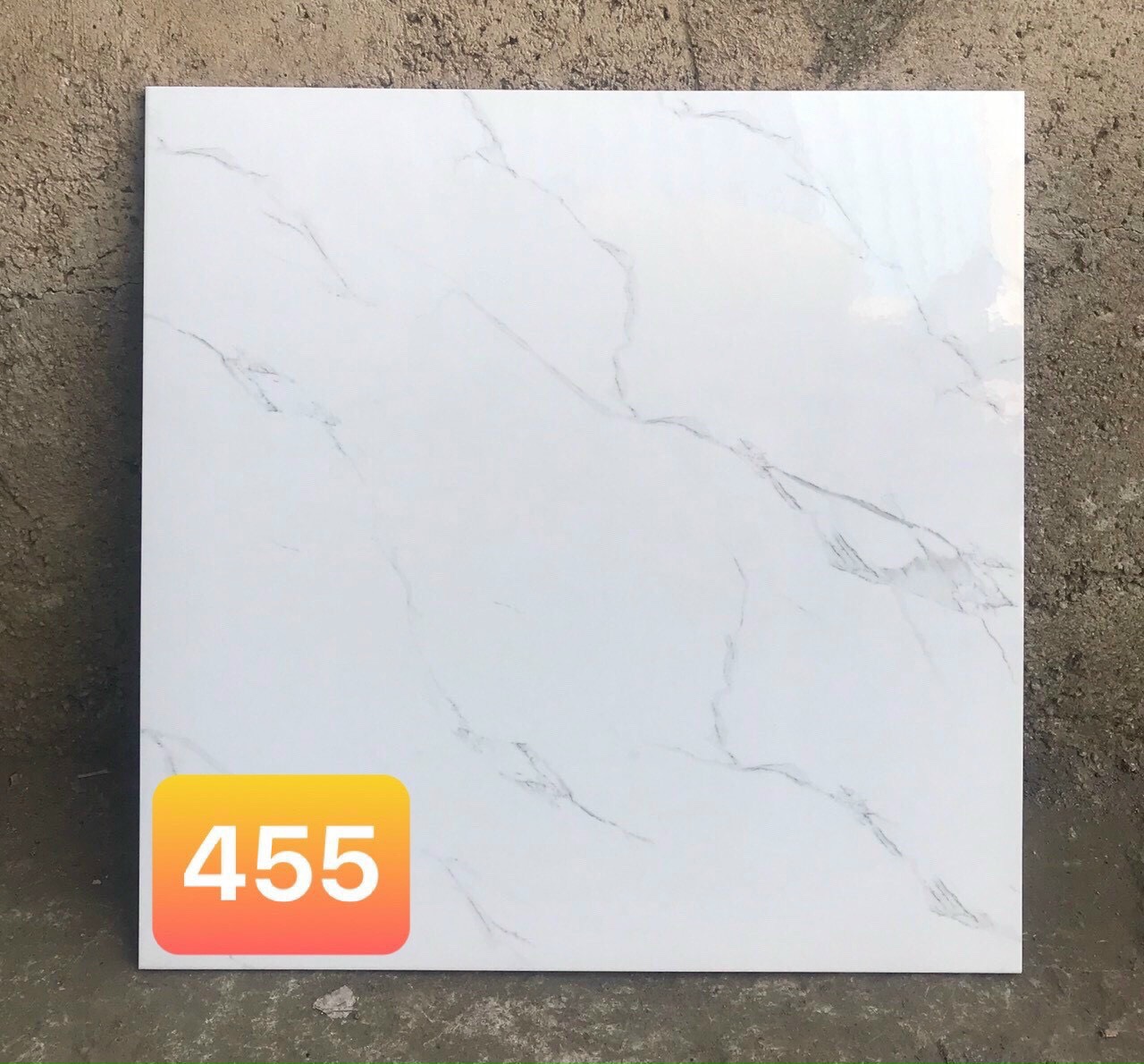 Gạch lót PAK 455