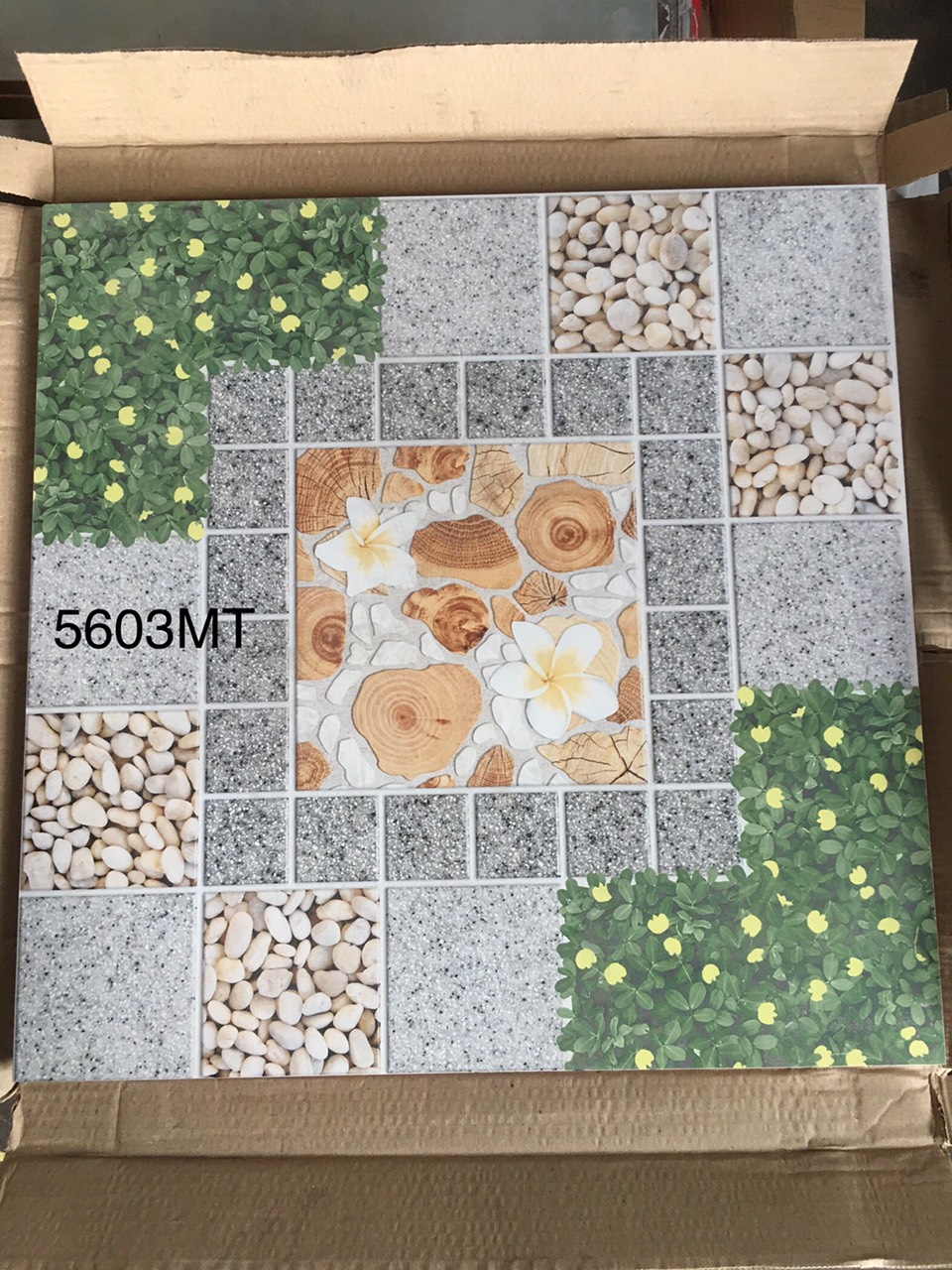 Gạch sân vườn Royal 5603MT