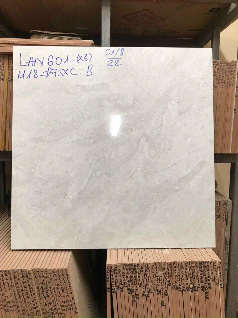Gạch lót PAK 601