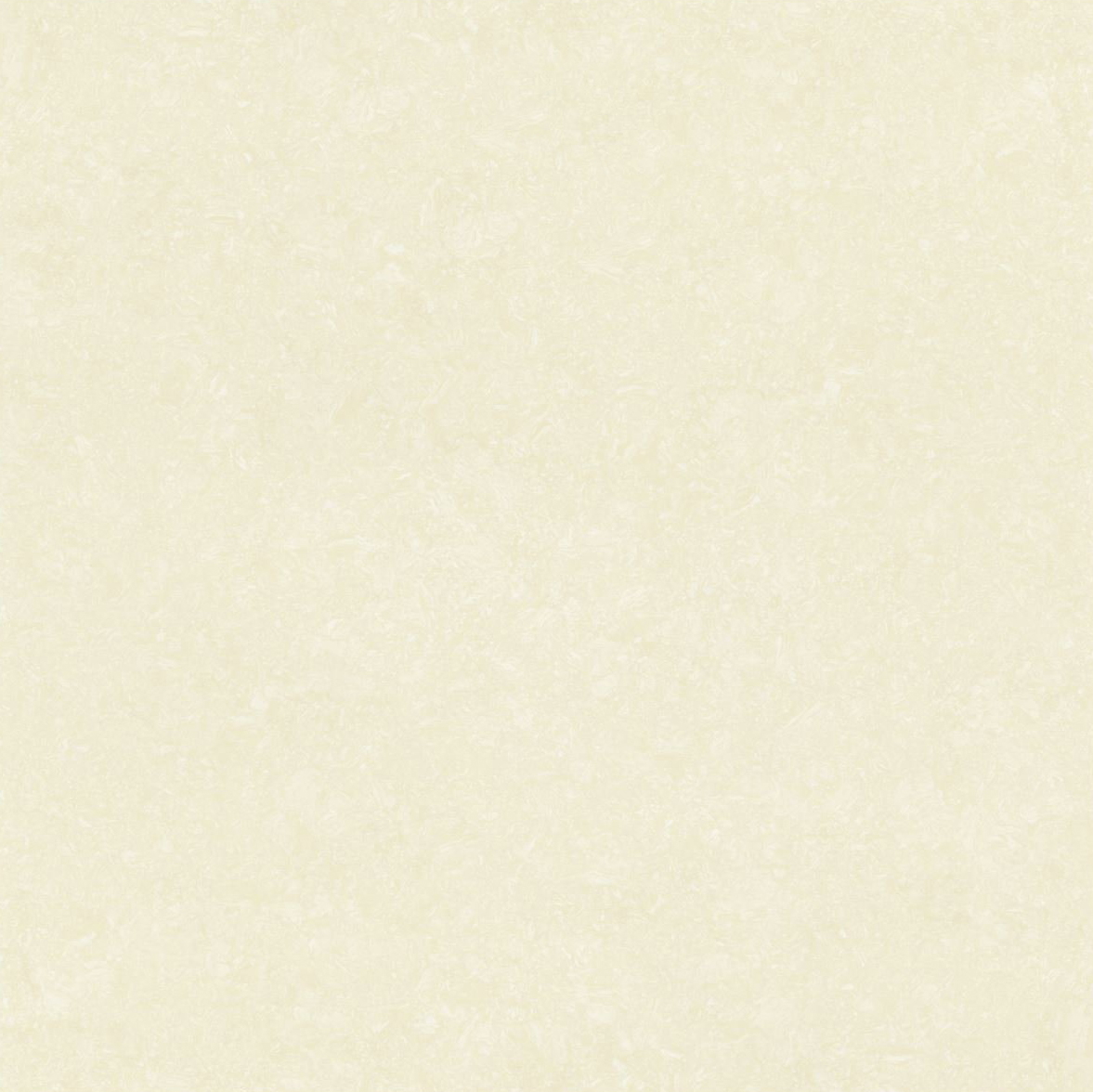 Gạch lót VID 660005