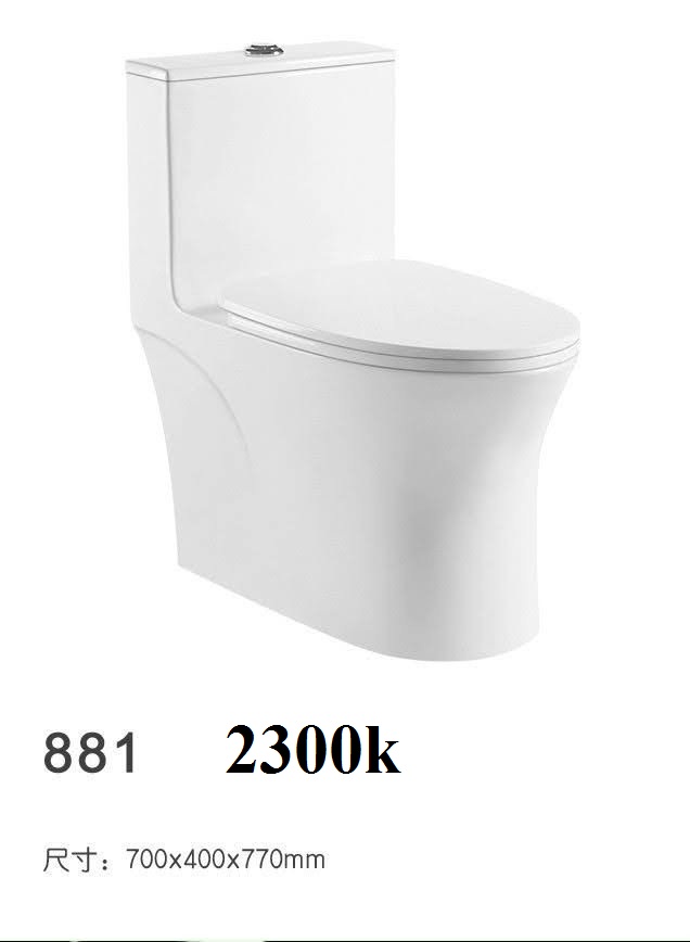 Bàn cầu SORASAN 881